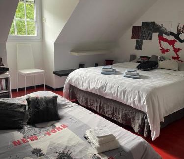 Saint-Mars-la-Briere Bed & Breakfast | Chambres dans maison avec piscine toboggan aquatique et spa