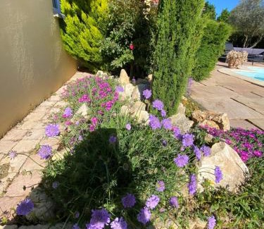 Limas Bed & Breakfast | Relax in a Villa with Pool and Oceanfront Views