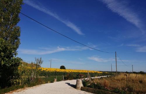 Dunes Bed & Breakfast | Oceanfront Retreat at Chambres Rozies Dunes - Rated 9/10