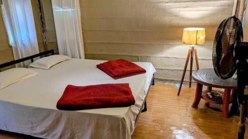 Nagaon Resort | Pet-Friendly Chanaka Eco Camp with Ocean View in Assam