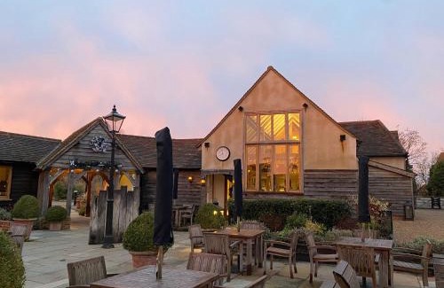 Chelmsford Hotel | Discover Channels Hotel: Pet-Friendly & Family-Oriented Stay
