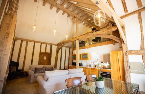 Chelmsford Hotel | Discover Channels Hotel: Pet-Friendly & Family-Oriented Stay