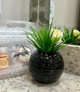Castelo Hotel | Pet-Friendly Retreat at Chapéu das Montanhas - 10/10 Rating