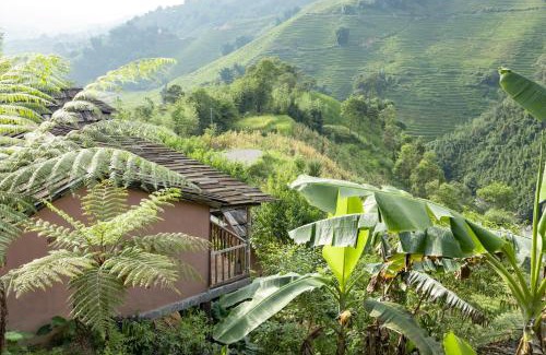 Sa Pa Hotel | Inviting Chapa Farmstay - Mountain Retreat with Dining Options