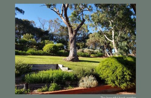 McLaren Vale Apartment | Elegant Chapel Hill Winery Guest House with Breakfast Included
