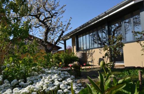 Chazelles-sur-Lyon House | Family-Friendly Gîte with Garden and Modern Comfort in Chazelles