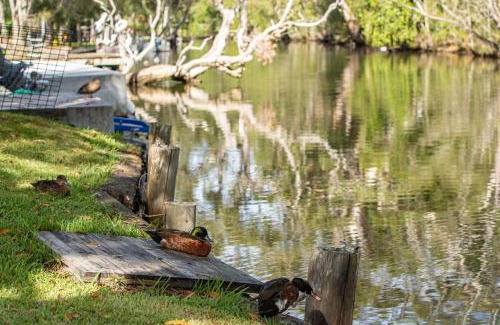 Charlotte Bay House | Discover Charlottes Hideaway: Top-Rated Family Retreat