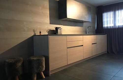 Saanen Apartment | Discover Charly Studio in Gstaad: Pet & Child Friendly Escape