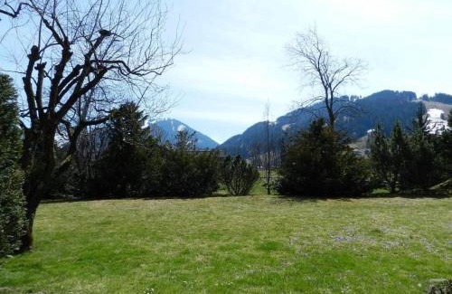 Saanen Apartment | Discover Charly Studio in Gstaad: Pet & Child Friendly Escape