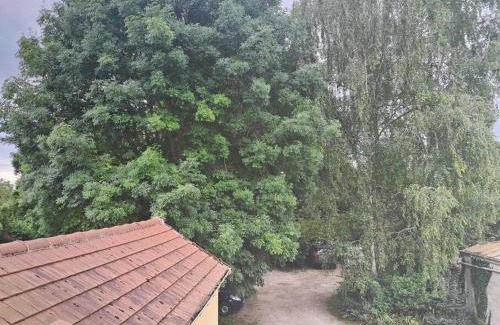 Villeneuve-Saint-Denis Apartment | Cozy 2-Room Apartment Steps from Disneyland