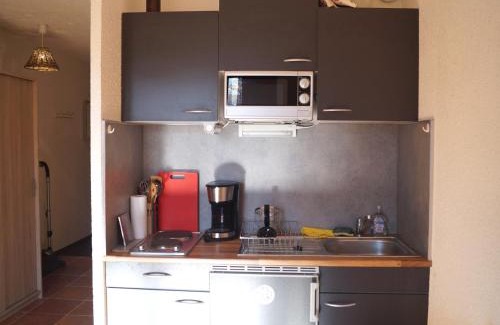 Barcelonnette Apartment | Cozy T2 with Garden and Valley Views in Barcelonnette