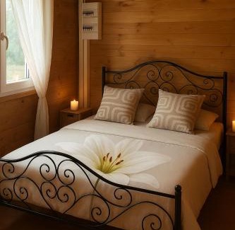 Villefranche-sur-Cher Ski Chalet | Oceanfront Chalet COSY EDENNA: Guest Rated 9.3/10