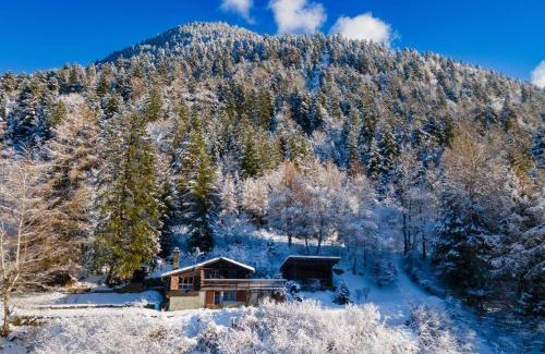 Sembrancher Ski Chalet | Cozy Mountain Chalet Near Verbier - Pet & Child Friendly