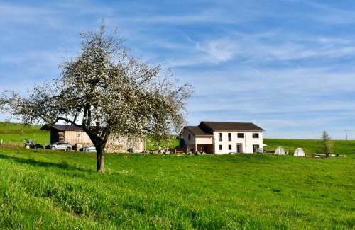 Lepanges-sur-Vologne Apartment | Serene Gîte with Breathtaking Nature Views - Rated 10/10