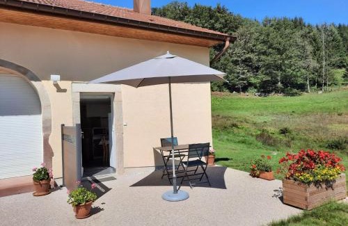 Rupt-sur-Moselle Apartment | Inviting Mountain Retreat, Family-Friendly with Terrace Access