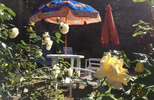 Neris-les-Bains Apartment | Cozy Studio with Garden in Neris les Bains – Pet Friendly