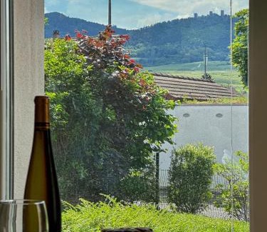 Eguisheim Apartment | Cozy Studio with Parking - Guest Rated 9.8/10