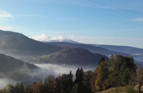 Le Menil Apartment | Relaxing Gîte with Mountain Views, Perfect for Couples