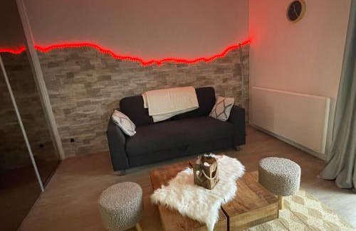 Klingenthal Apartment | Idyllic Studio Retreat Surrounded by Nature's Beauty