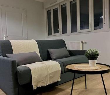 Villeurbanne Apartment | Charmant studio