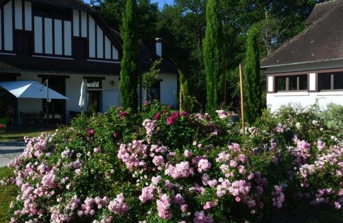 Ligny-le-Ribault Bed & Breakfast | Charming Guest Room with Lush Garden Near Châteaux & Golf