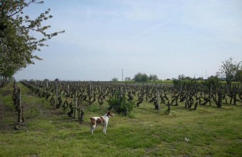 Lye House | Idyllic Farmhouse Near Loire Castles & Beauval Zoo