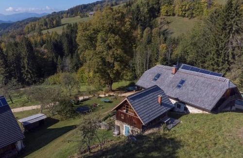Stanz Im Murztal Apartment | Cozy Guest Apartment in Historic Alpine Farmhouse