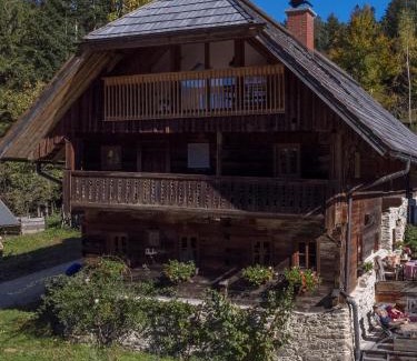 Stanz Im Murztal Apartment | Cozy Guest Apartment in Historic Alpine Farmhouse