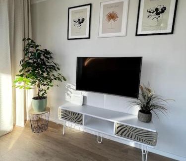 Sinsheim Apartment | Stylish Penthouse Near Badewelt & Hoffenheim Stadium