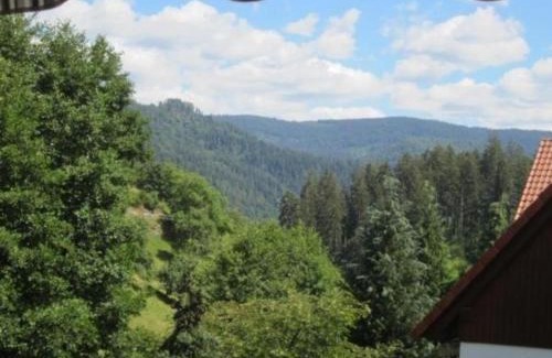Forbach Apartment | Cozy Apartment in Bermersbach - Ideal for Families