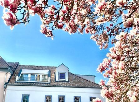 Brenig Apartment | Cozy Retreat Near Bonn and Cologne with Family-Friendly Perks