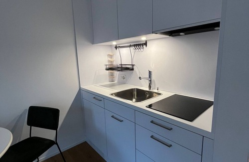 Sandrain Apartment | Cozy Studio in Marzili Near the Bundeshaus with Breakfast