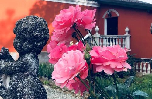 Novi Ligure House | Experience Villa Capannina: Pet Friendly & Family Welcoming