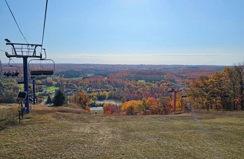 Mancelona Condo | Charming 1-bedroom condo at the base of Schuss Mountain. Ski in/Ski out.