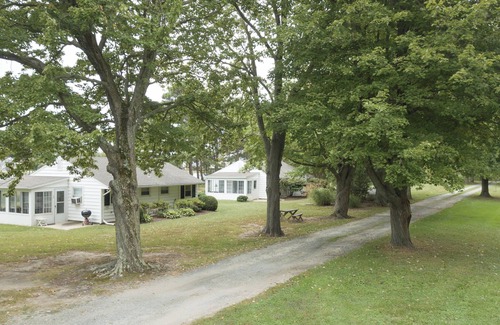Bozman Cottage | Charming 1-bedroom cottage on the water, minutes from St Michaels MD