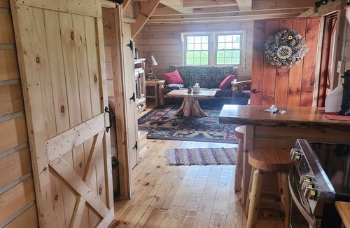 Melmore Cabin | Charming 2-bedroom cabin in Carey with AC, WiFi