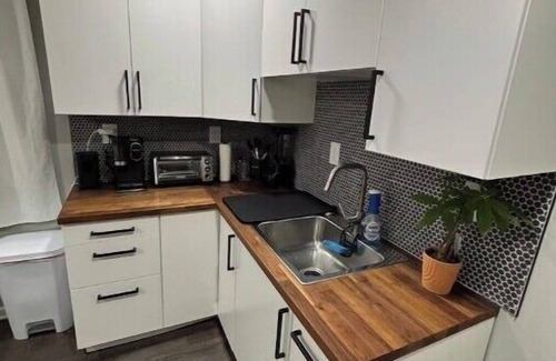 Lincoln Park House | Charming 3-bedroom house in brilliant Lincoln Park with AC, WiFi