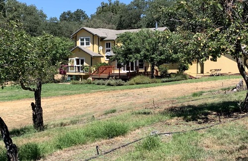 Shingle Springs House | Tranquil Retreat: Spa and Hot Tub Near Folsom & El Dorado