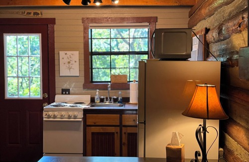 Eureka Springs Cabin | Cozy Mountainside Cabin Near Eureka Springs - 10/10 Rated