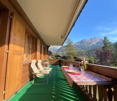 Chateau-d'Oex Apartment | Picturesque Apartment with Breathtaking Views for Families