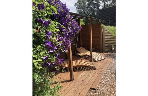 Ovelgoenne Apartment | Inviting Apartment in Husum with Pool and Pet-Friendly Perks