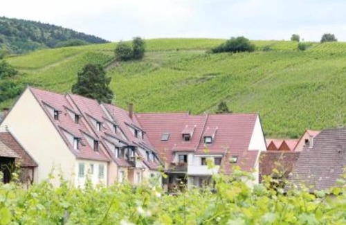 Riquewihr Apartment | Inviting Apartment with Scenic Vineyard View & Great Amenities