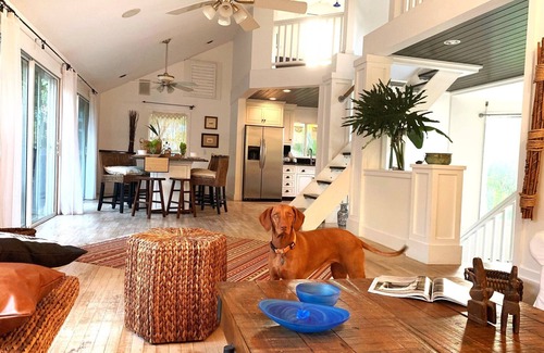 Summerplace Cottage | Pet-Friendly Beach Cottage with Ocean View - Rated 9.8/10