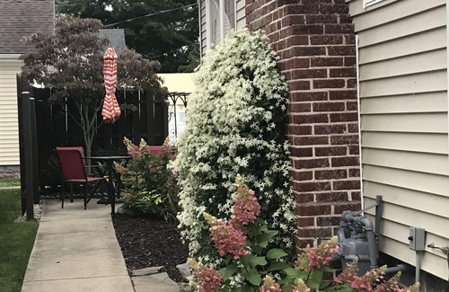 South Haven Cottage | Perfect Bungalow Steps from Beach & Town with Ocean View