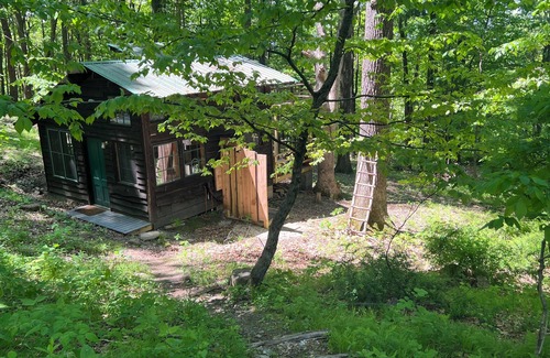 Ghent Cabin | Charming Cabin in the Woods. POOL!