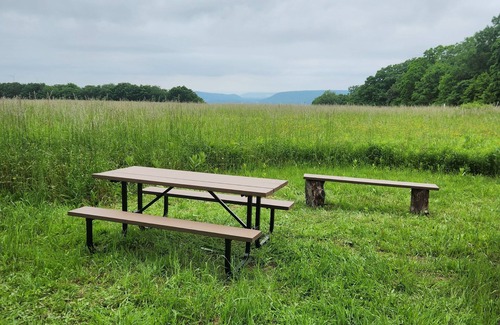 Cohocton Cabin | Charming cabin on 30 acres in the Bristol Hills of New York's Finger Lakes area,