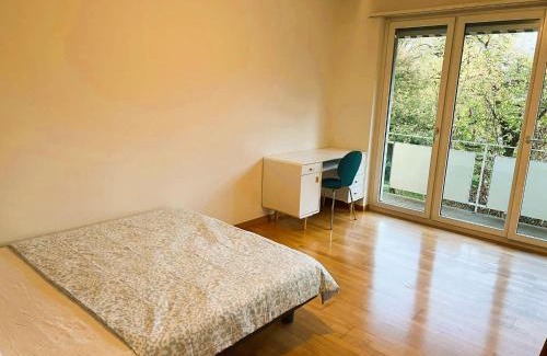 Alt-Wiedikon Apartment | Charming City Center Flat with Balcony Steps from Zurich Historic Schloss