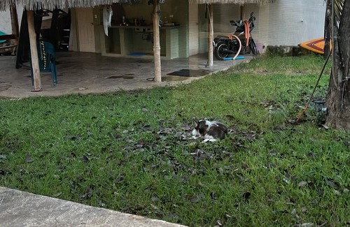 Cancun House | Charming country house in beautiful Cancún with WiFi, AC