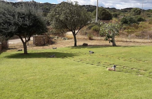 Cannigione House | Serene Countryside Retreat with Ocean Views near Costa Smeralda