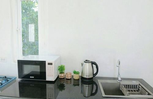 Boroncana Apartment | Charming & Cozy 1-bedroom apartment in Noord with Plunge pool, WiFi & AC